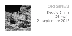    OR￼IGINES
Reggio Emilia
26 mai - 
21 septembre 2012
ToArt gallerie
